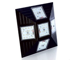 LED ZOOMER LIGHT
